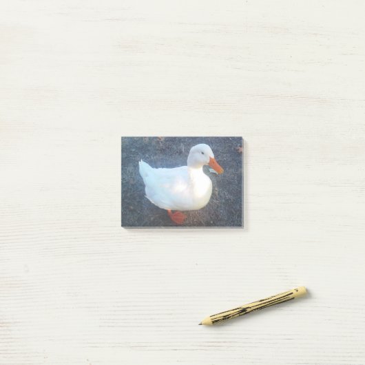 Duck Post-it® Notes (Op bureau)