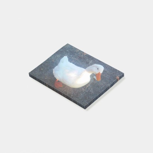 Duck Post-it® Notes (Schuin)