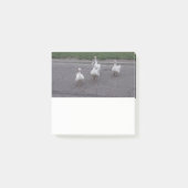 Duck Post-notities Post-it® Notes (Voorkant)