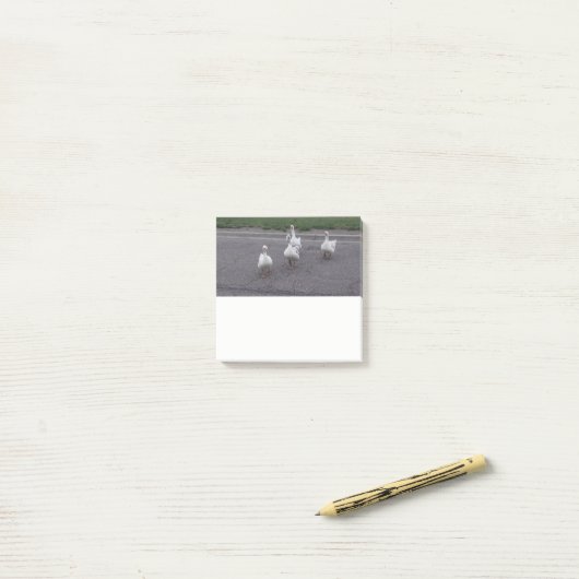 Duck Post-notities Post-it® Notes (Op bureau)