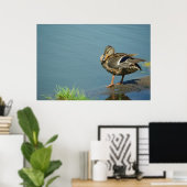 Duck Poster (Thuiskantoor)