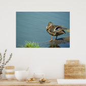 Duck Poster (Keuken)