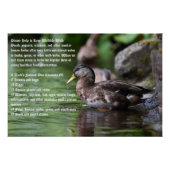 Duck Poster (Voorkant)