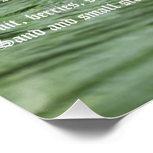 Duck Poster (Hoek)