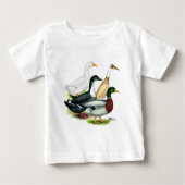 Duck Quartet (Voorkant)