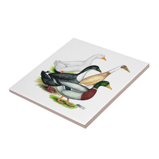 Duck Quartet Tegeltje (Zijkant)