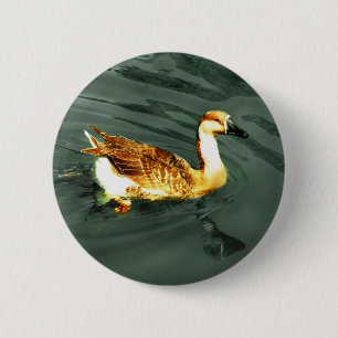Duck Ronde Button 5,7 Cm