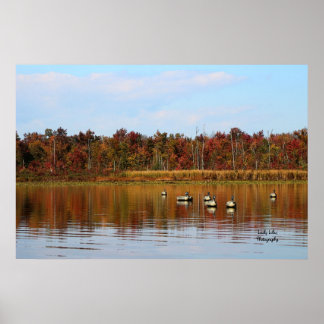 Duck Season Poster