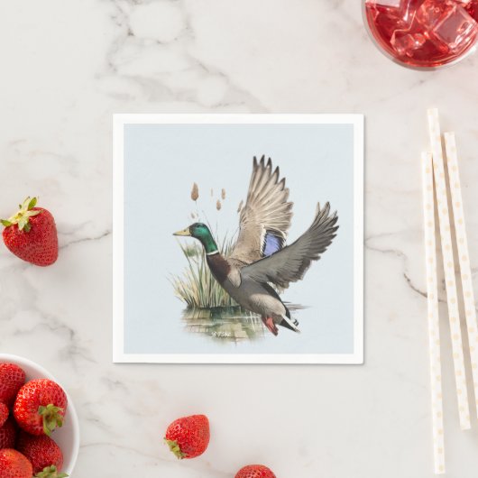 Duck Servet (Insitu)