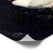 Duck Shaking Poster (Hoek)