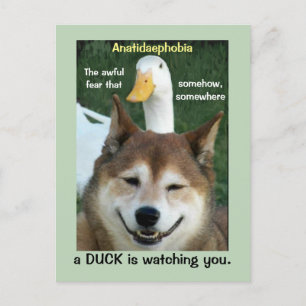 Duck Shiba Inu Dog Anatidaephobia Foto Funny Doge Briefkaart