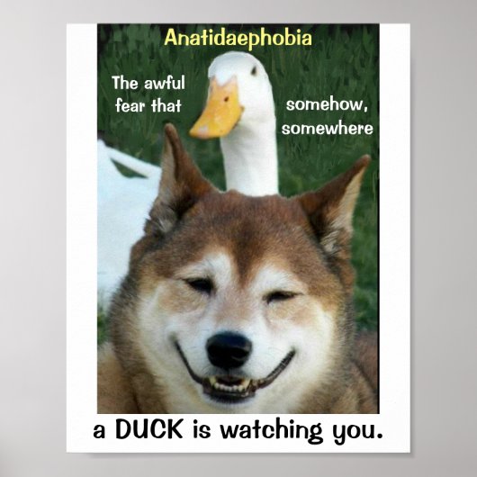 Duck Shiba Inu Dog Anatidaephobia Foto Funny Doge Poster (Voorkant)