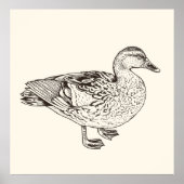 Duck Sketch Poster (Voorkant)