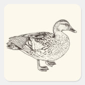 Duck Sketch Vierkante Sticker (Voorkant)