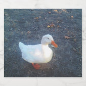 Duck Sparkling Wijnetiket (Enkel label)