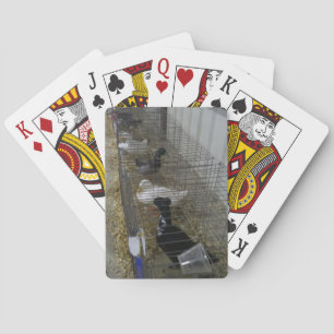 Duck Spelling-kaarten Pokerkaarten