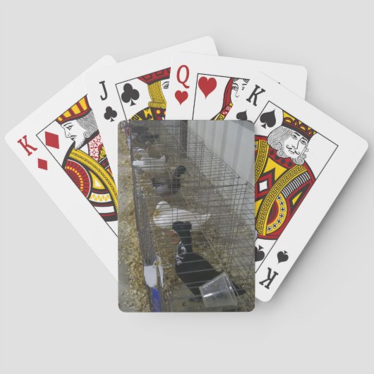 Duck Spelling-kaarten Pokerkaarten (Achterkant)
