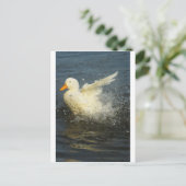 Duck Splash Briefkaart (Staand voorkant)