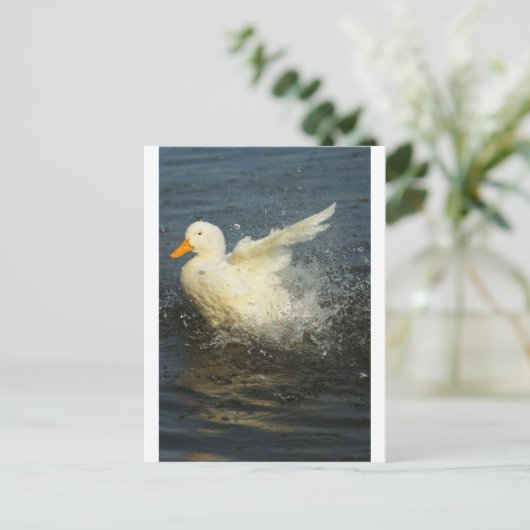 Duck Splash Briefkaart (Staand voorkant)