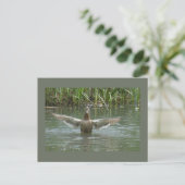 Duck Spreiding Wings DIY Briefkaart (Staand voorkant)