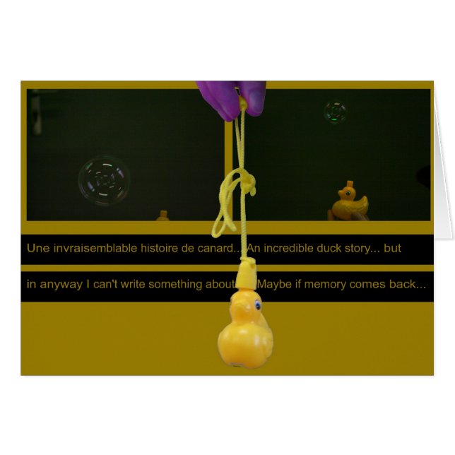 Duck Story ou une invragelijkable histoire (Voorkant Horizontaal)