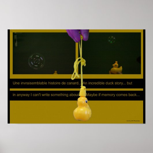 Duck Story ou une invragelijkable histoire Poster (Voorkant)