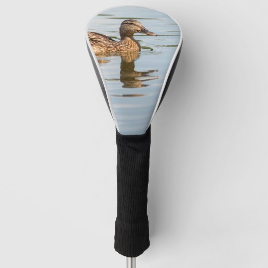 Duck Swimming Golfheadcover (Voorkant)