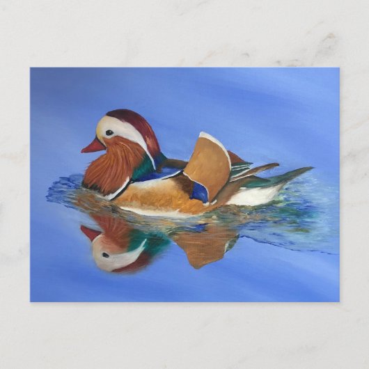 Duck Swimming JW Briefkaart (Voorkant)