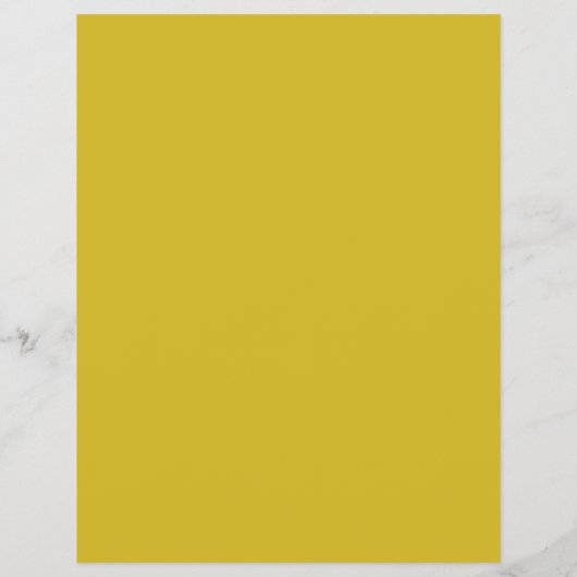 Duck, Swimming Pool Cleaning Flyer (Achterkant)