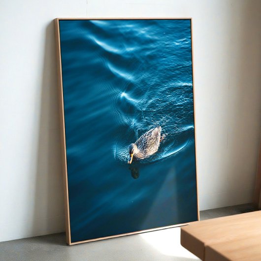 Duck Swimming Poster