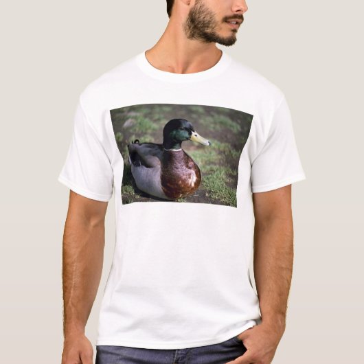 Duck T-shirt (Voorkant)