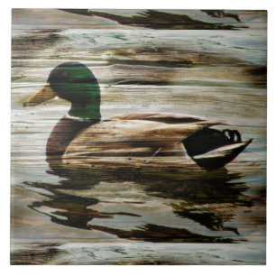 Duck Tegeltje