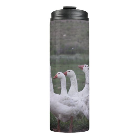 Duck Thermal Tumbler Thermosbeker (Voorkant)