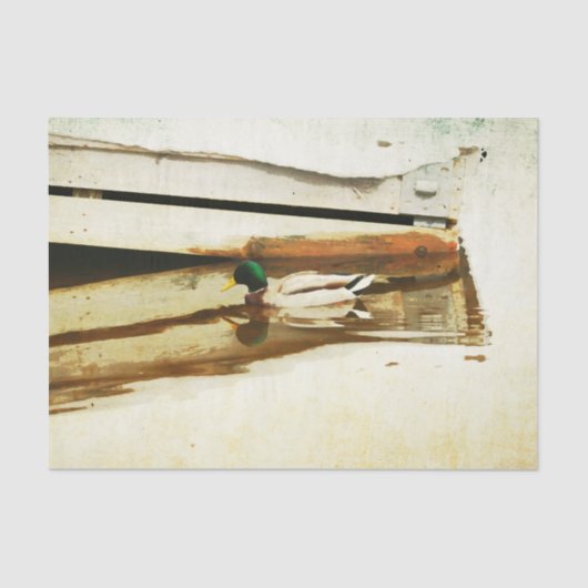 Duck Tissue Paper Tissuepapier (Voorkant)