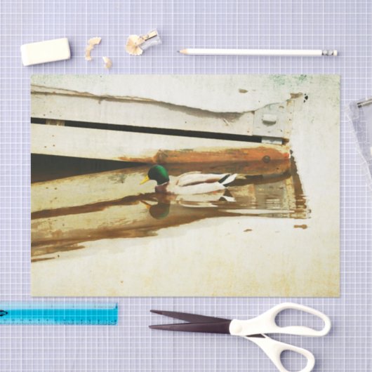 Duck Tissue Paper Tissuepapier (Craft)