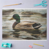 Duck Tissuepapier (Craft)