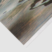 Duck Tissuepapier (Detail)