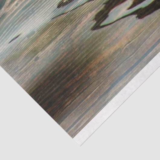 Duck Tissuepapier (Detail)