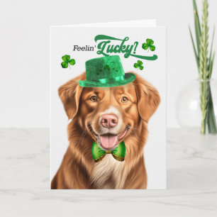 Duck Toller-hond voelt zich gelukkig op St. Patric Feestdagen Kaart