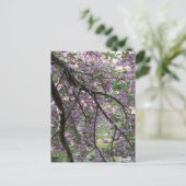 Duck Tot Cherry Blossom Briefkaart (Staand voorkant)