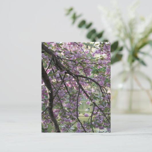 Duck Tot Cherry Blossom Briefkaart (Staand voorkant)