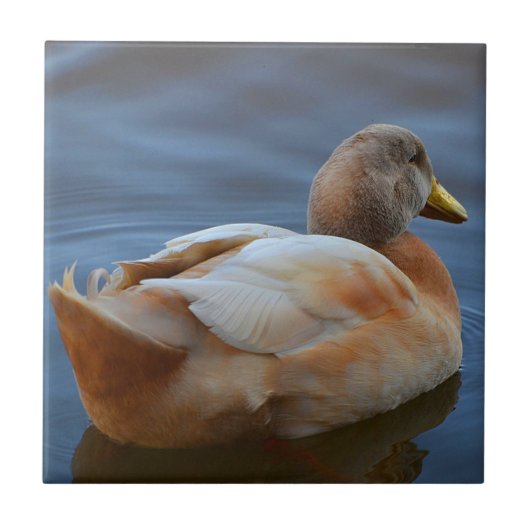 Duck Trivet Tegeltje (Voorkant)