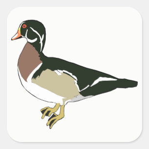 Duck Vierkante Sticker