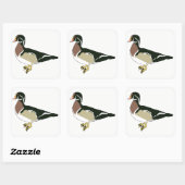 Duck Vierkante Sticker (Vel)