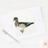 Duck Vierkante Sticker (Envelop)