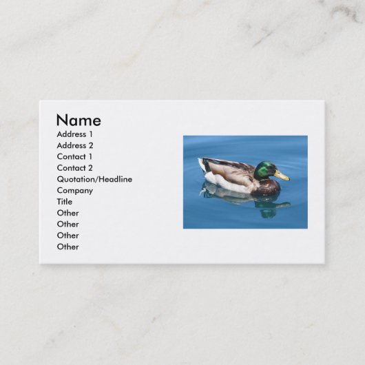 Duck Visitekaartje (Voorkant)