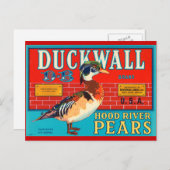 Duck Wall Hood River Pears  reclame Briefkaart (Voorkant / Achterkant)