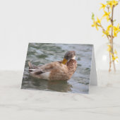 Duck Wenskaart Kaart (Gele Bloem)