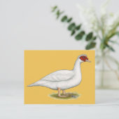 Duck White Muscovy Briefkaart (Staand voorkant)