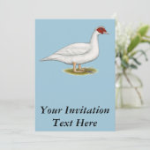 Duck White Muscovy Kaart (Staand voorkant)